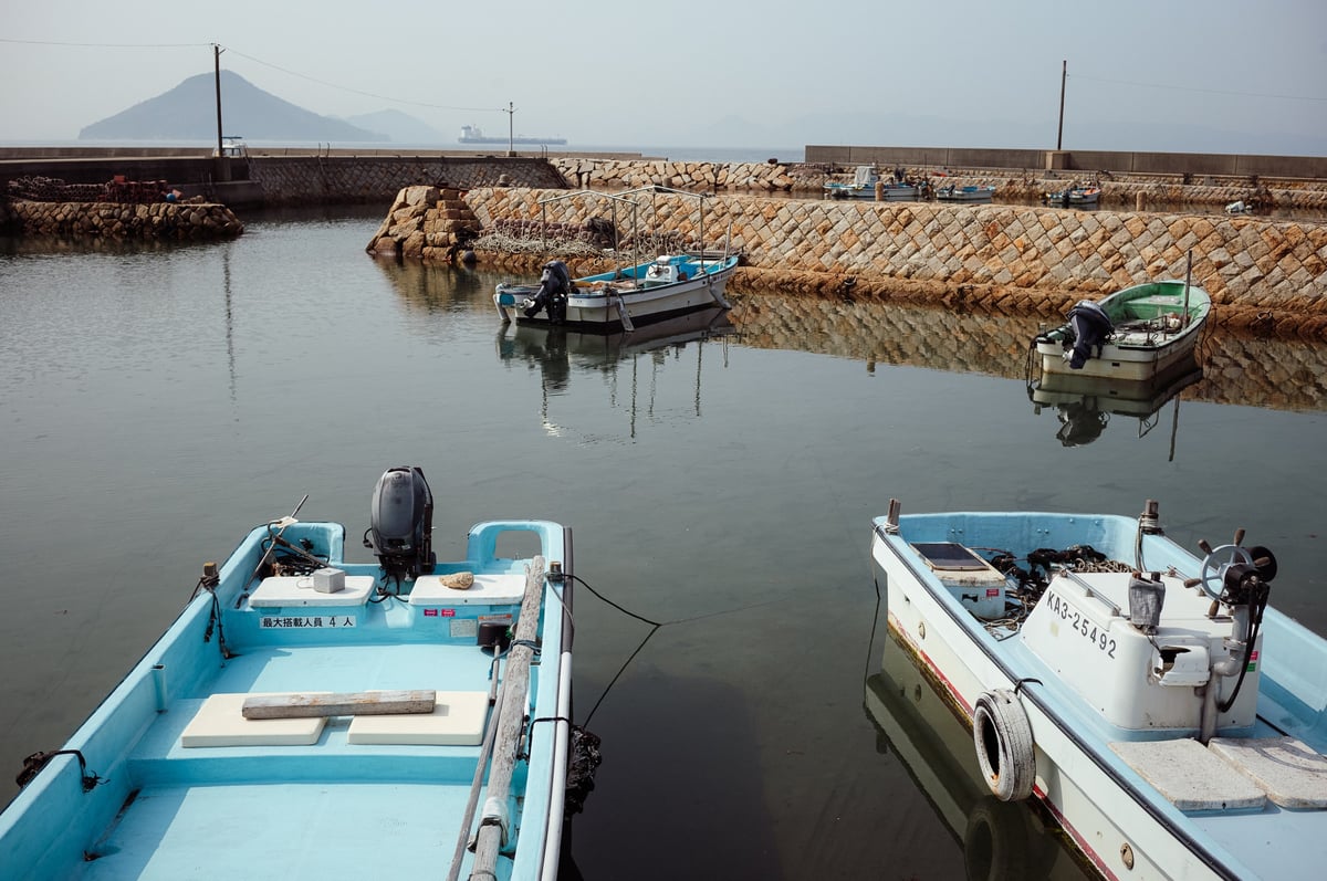 Η Τέχνη ως Μέσο Αναβίωσης της Ζωής — gallery image