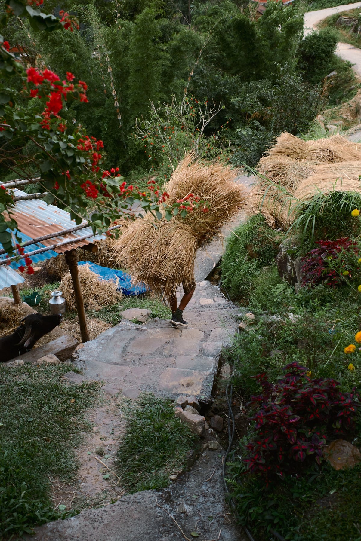 Κοινοτικό Homestay στο Χωριό Barang, Νεπάλ — gallery image