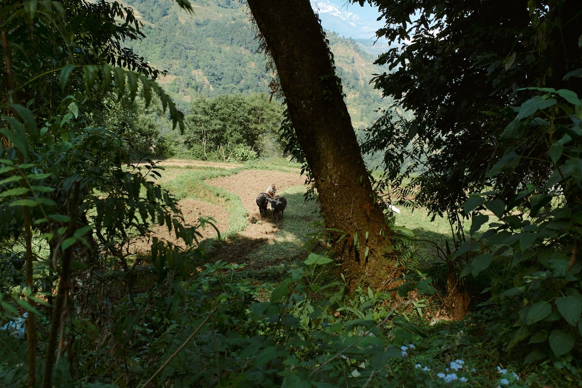 Κοινοτικό Homestay στο Χωριό Barang, Νεπάλ — gallery image