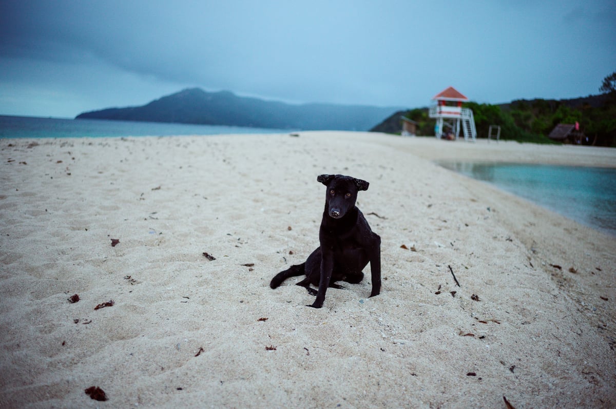 The Unhurried Island — Romblon, Philippines — 5