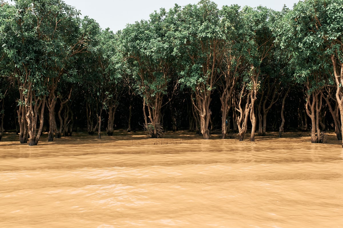 The Water Will Return — Cambodia — 13