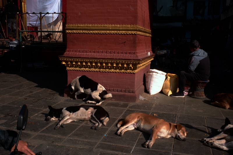 Image by Evangelos Tzemis