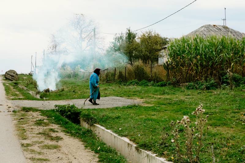 Image by Evangelos Tzemis