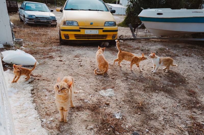 Summer Secrets: The Baths of Helen of Troy — gallery image 11