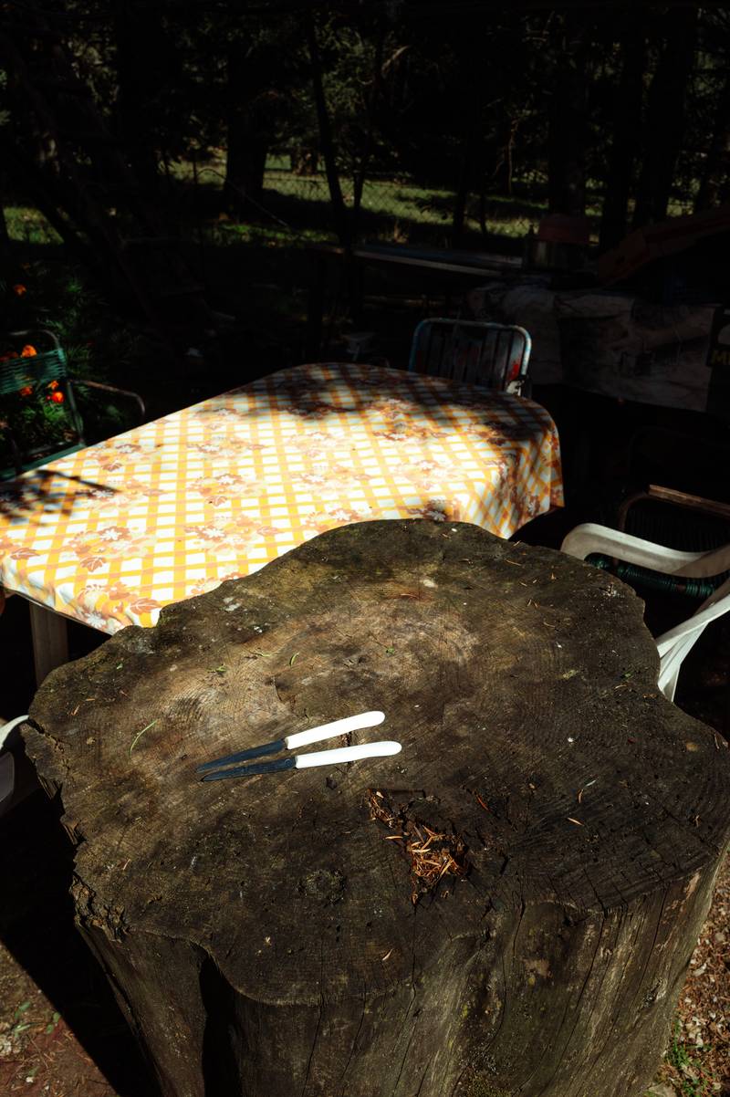 A Simple Life in the Mountains of Greece — gallery image 5