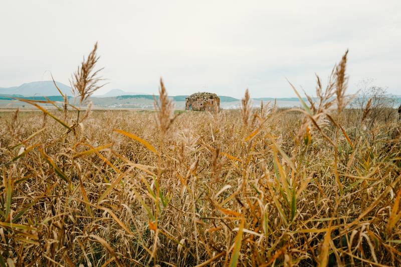 Image by Evangelos Tzemis