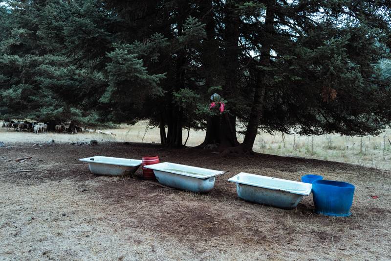 A Simple Life in the Mountains of Greece — gallery image 1