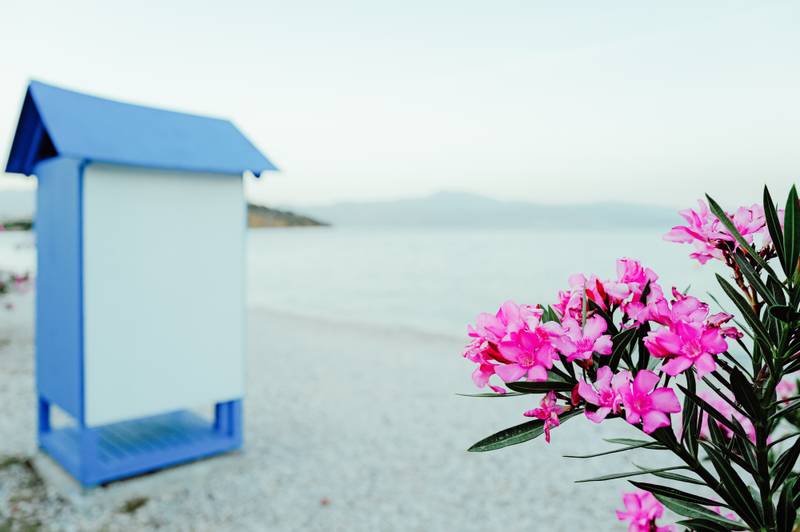 Summer Secrets: The Baths of Helen of Troy — gallery image 13