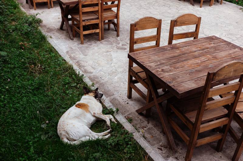 A Journey Through Armenia — The Oldest Christian Nation in the World — gallery image 22