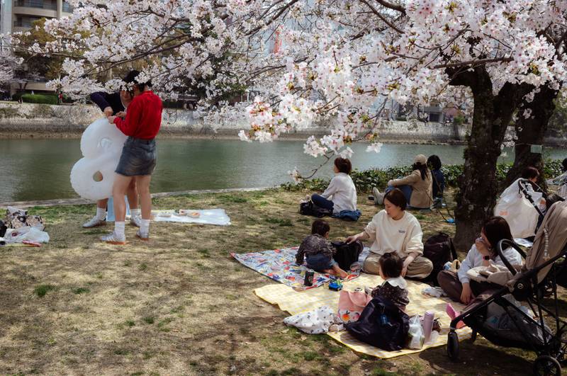 Image by Evangelos Tzemis