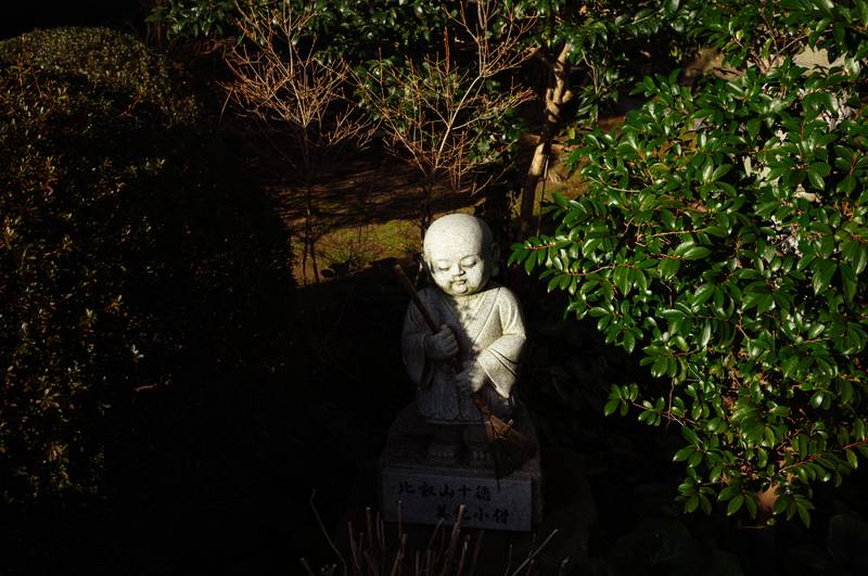 Image by Evangelos Tzemis