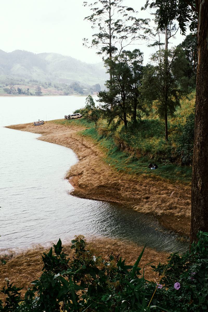 Image by Evangelos Tzemis