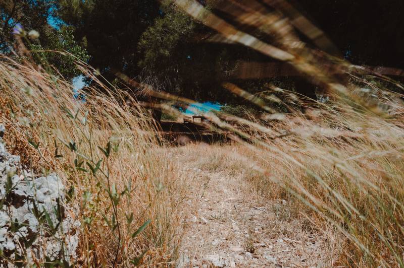 Summer Secrets: The Baths of Helen of Troy — gallery image 8