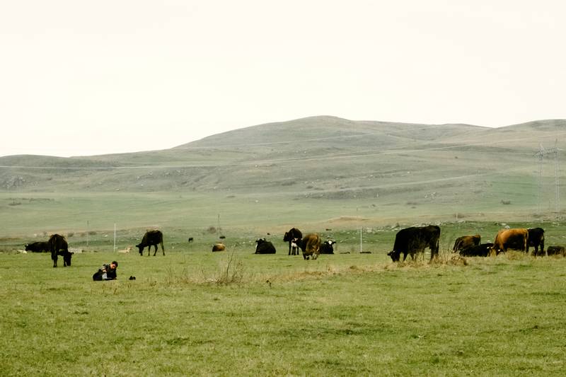 Image by Evangelos Tzemis