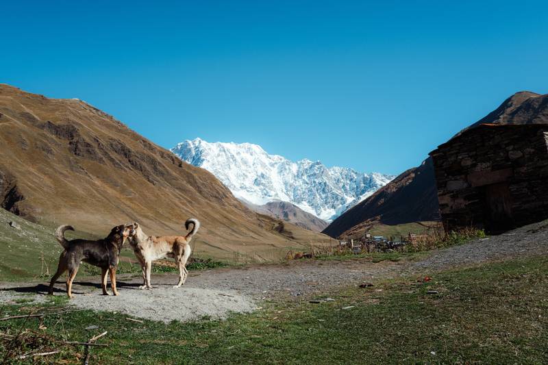 Image by Evangelos Tzemis