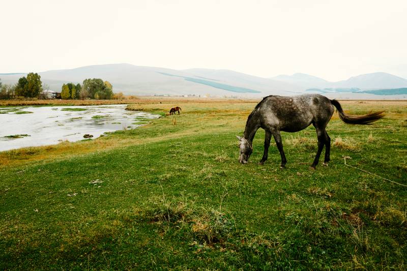 Image by Evangelos Tzemis