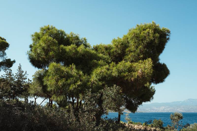 Summer Secrets: The Baths of Helen of Troy — gallery image 18