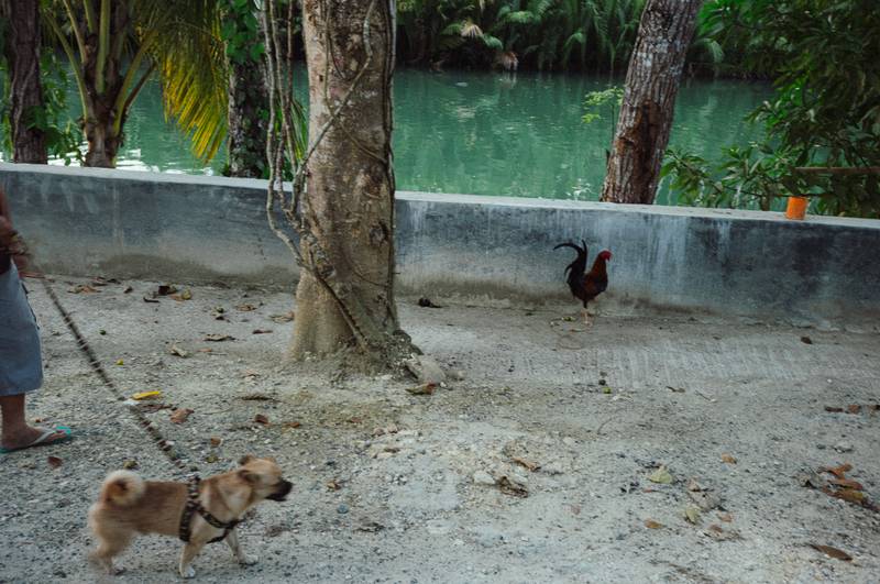 Image by Evangelos Tzemis