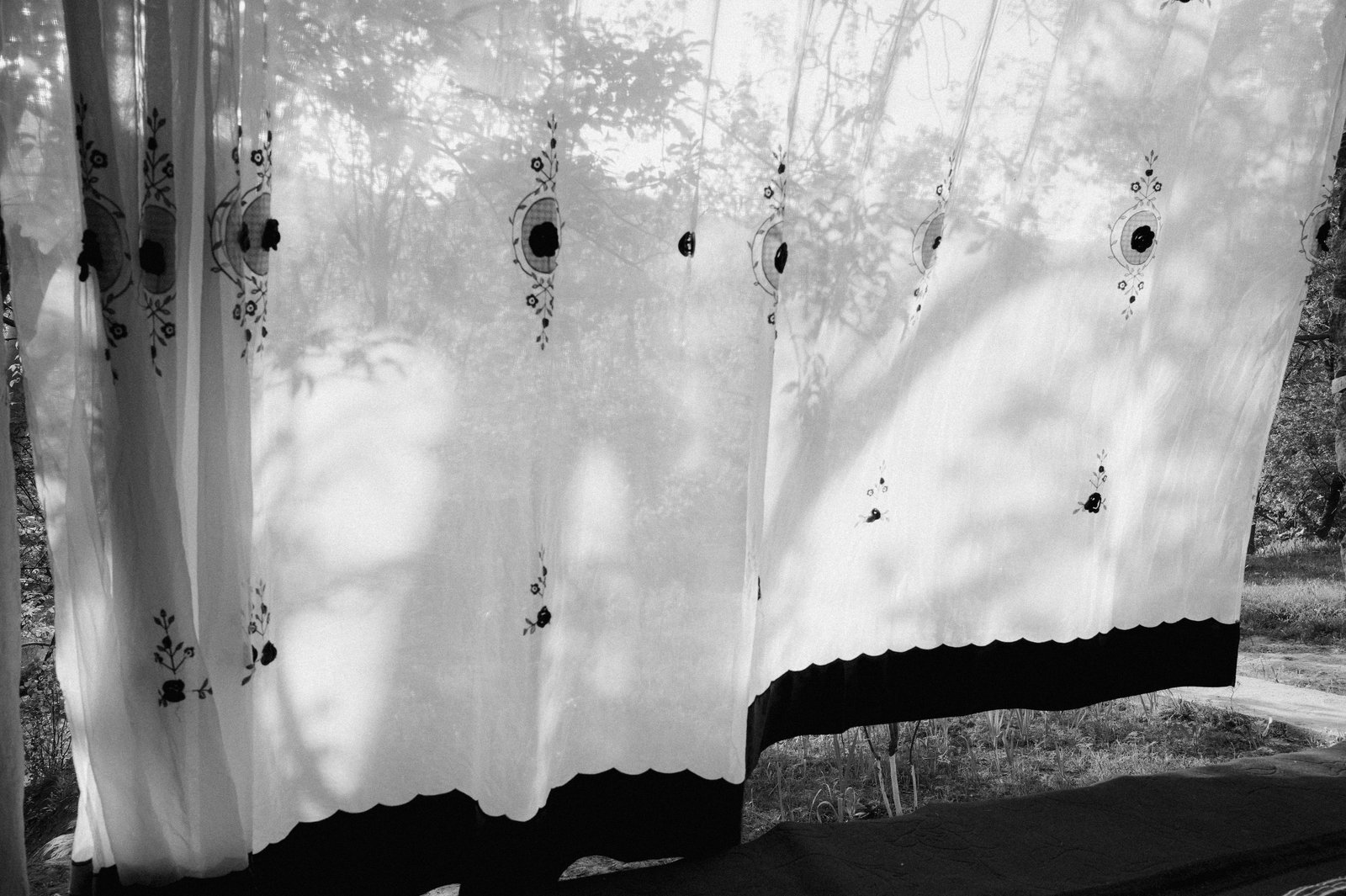 Civilizations Crossroads - The Silk Road