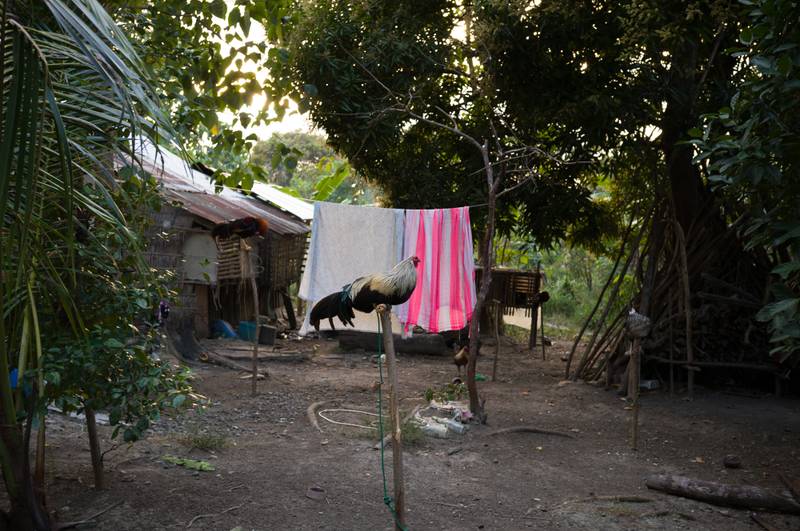 Image by Evangelos Tzemis