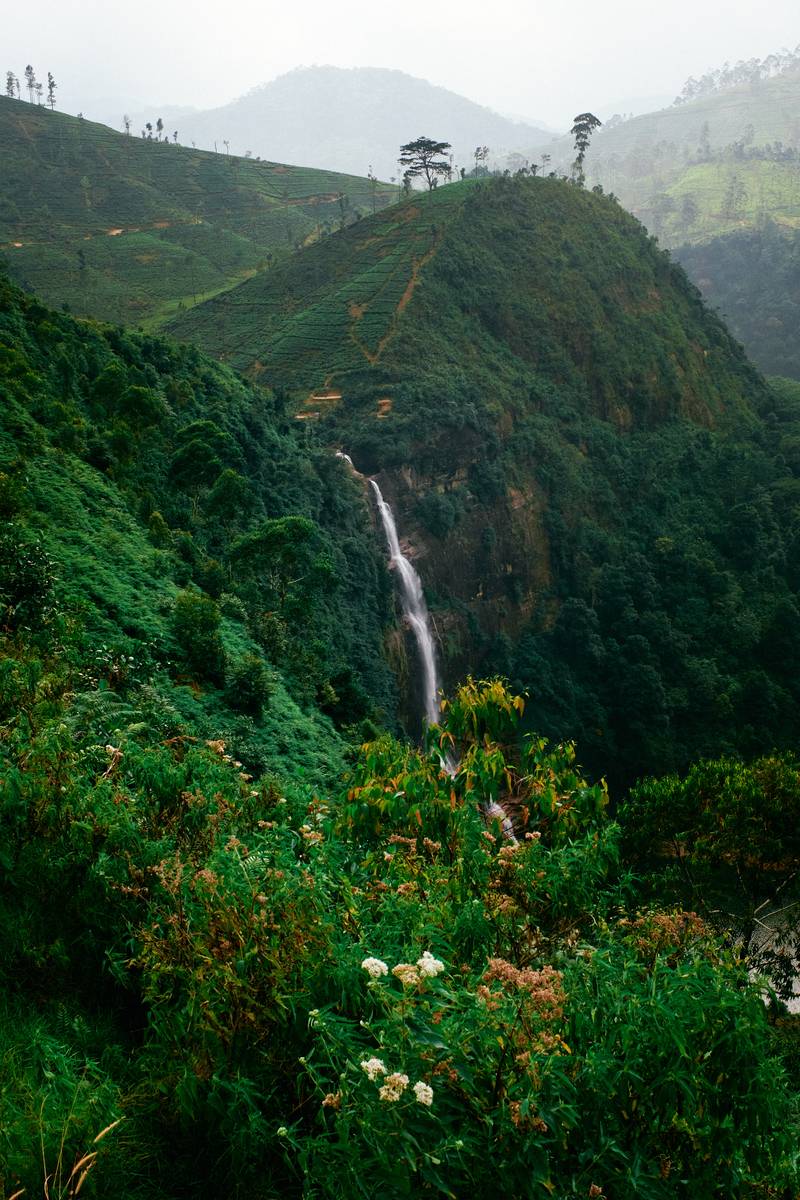 Image by Evangelos Tzemis