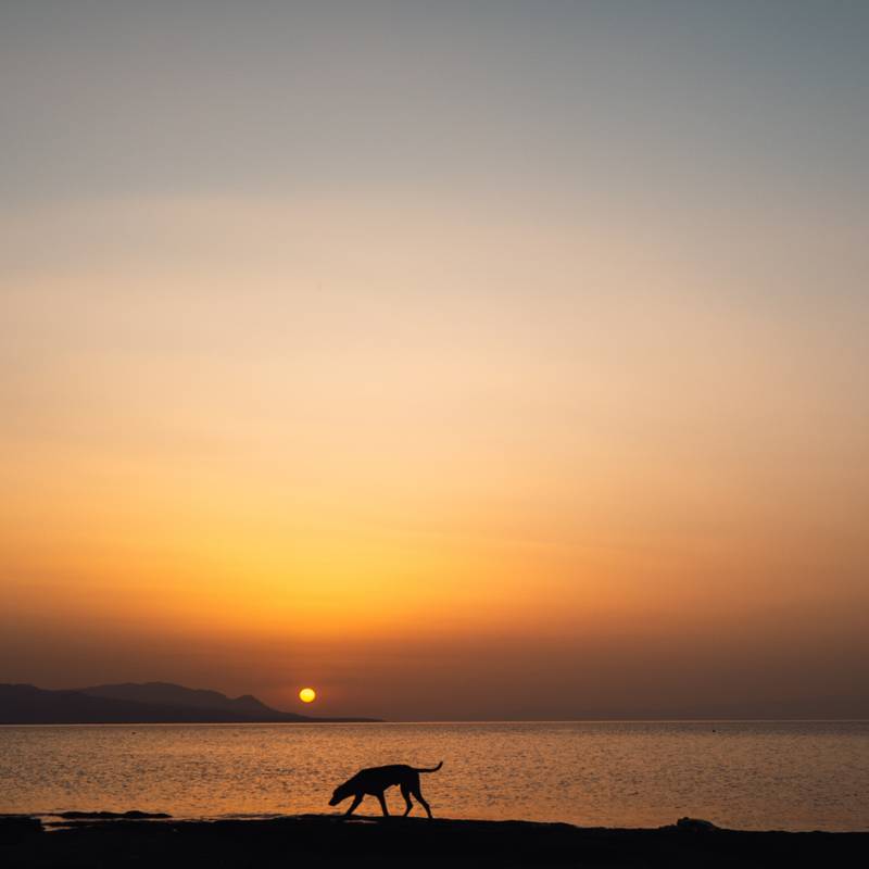 Summer Secrets: The Baths of Helen of Troy — gallery image 20