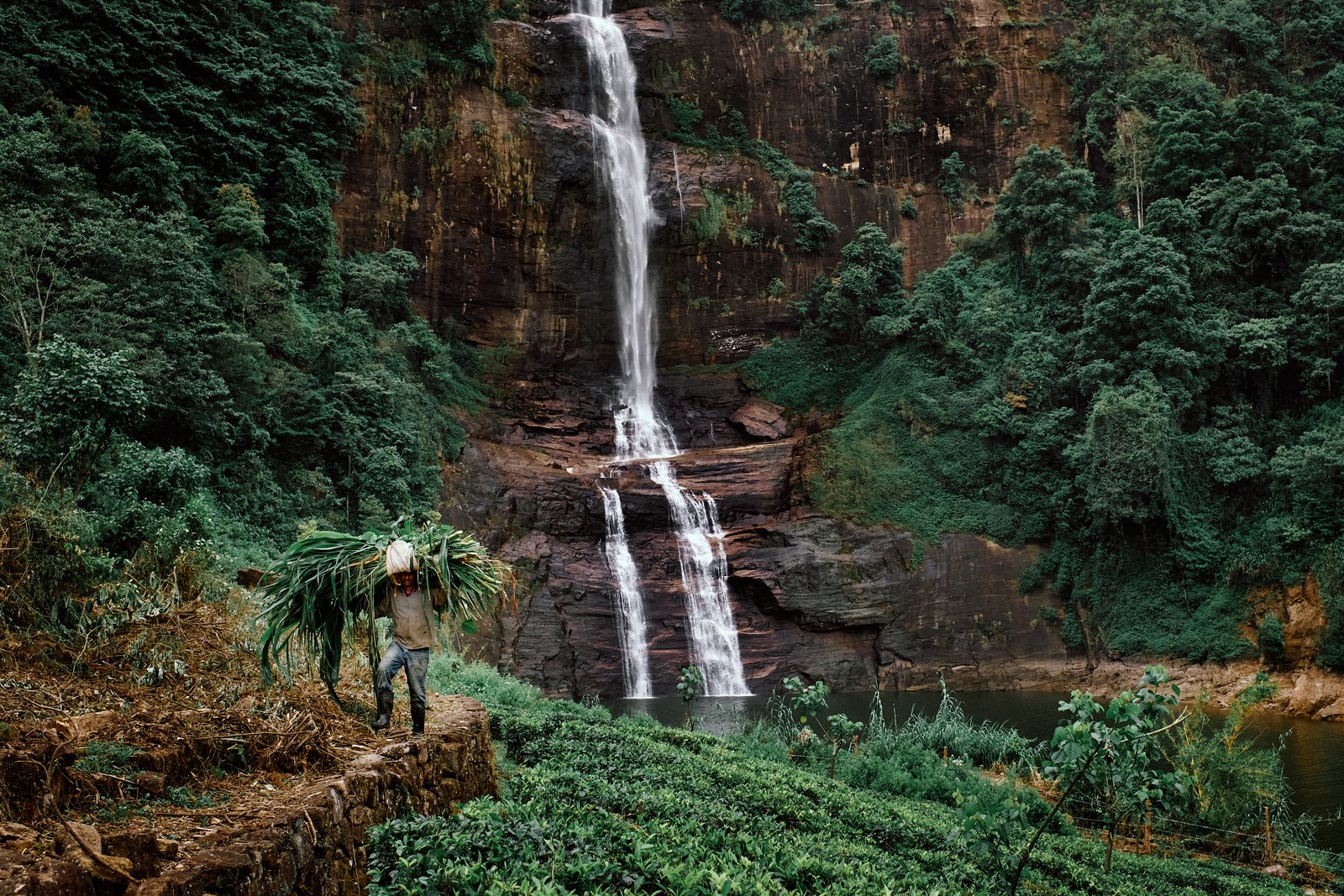 The Tea Plantations of Hatton, Sri Lanka