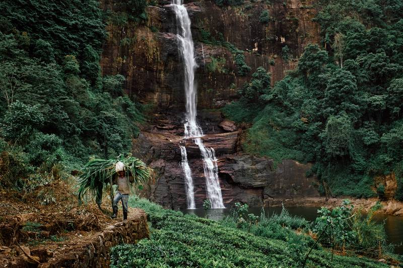 Image by Evangelos Tzemis