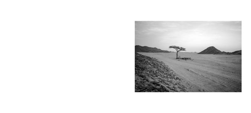 Image by Evangelos Tzemis