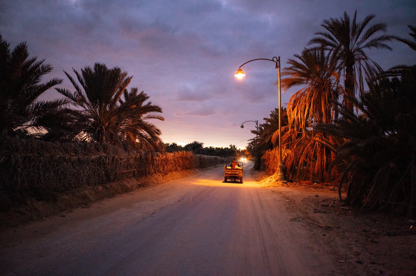 The Oasis - Resilience in Isolation