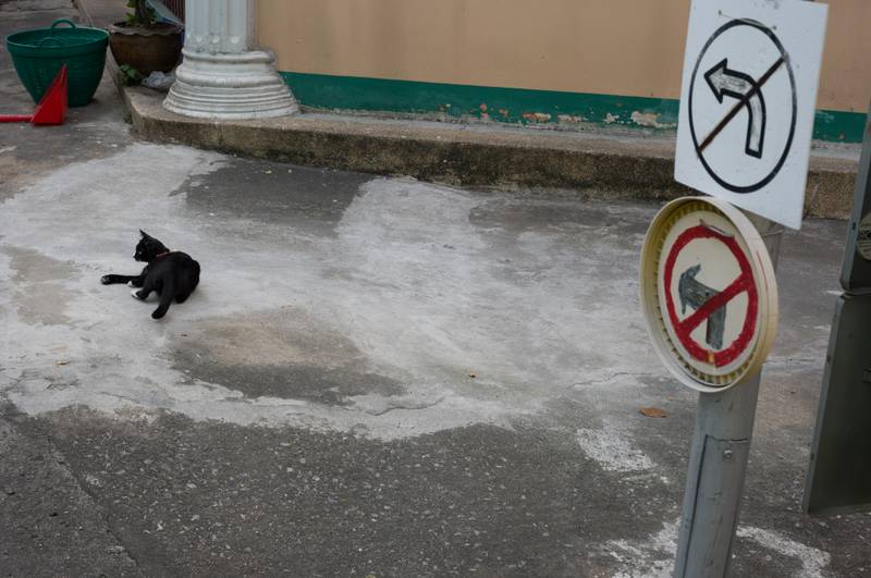 Scenes from Bangkok 3