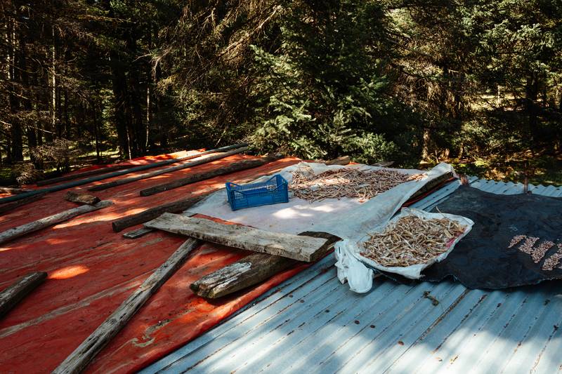 A Simple Life in the Mountains of Greece — gallery image 7