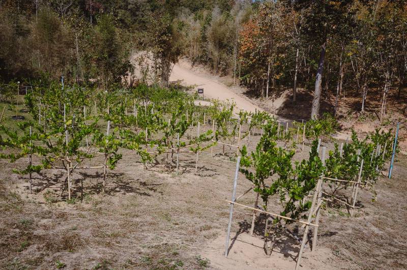 Another stop for coffee along the way