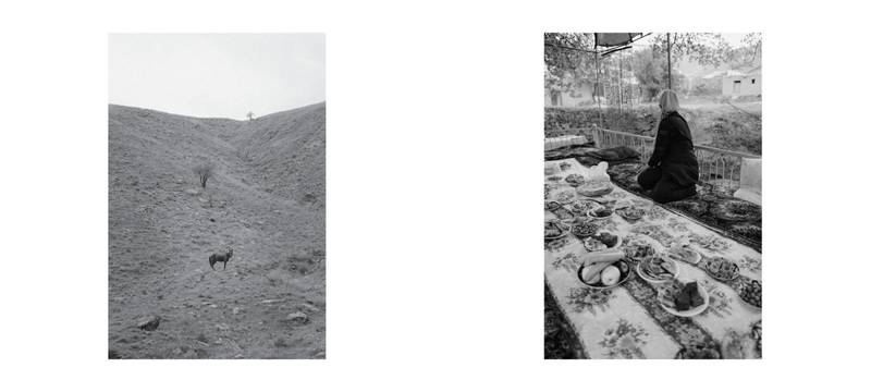 Image by Evangelos Tzemis